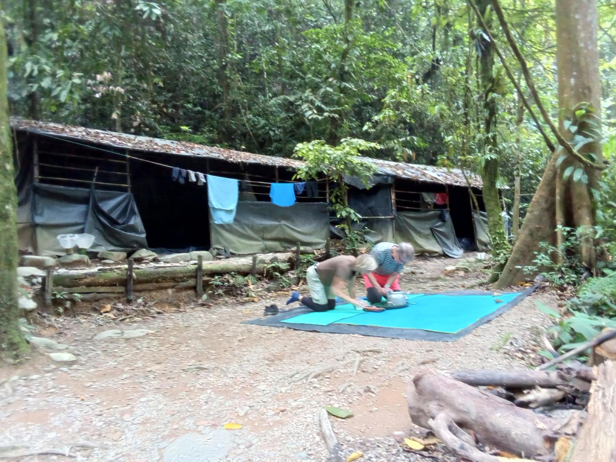 Jungle Treking & Jungle Tour If You Want To Stay Here,You Must Book Treking Only With Us بوكيت لاوانج المظهر الخارجي الصورة