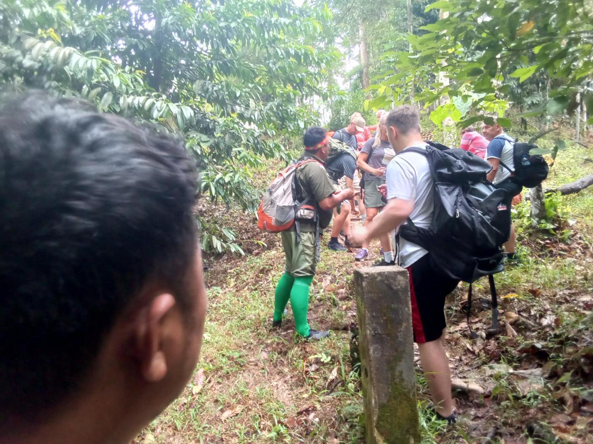 Jungle Treking & Jungle Tour If You Want To Stay Here,You Must Book Treking Only With Us بوكيت لاوانج المظهر الخارجي الصورة