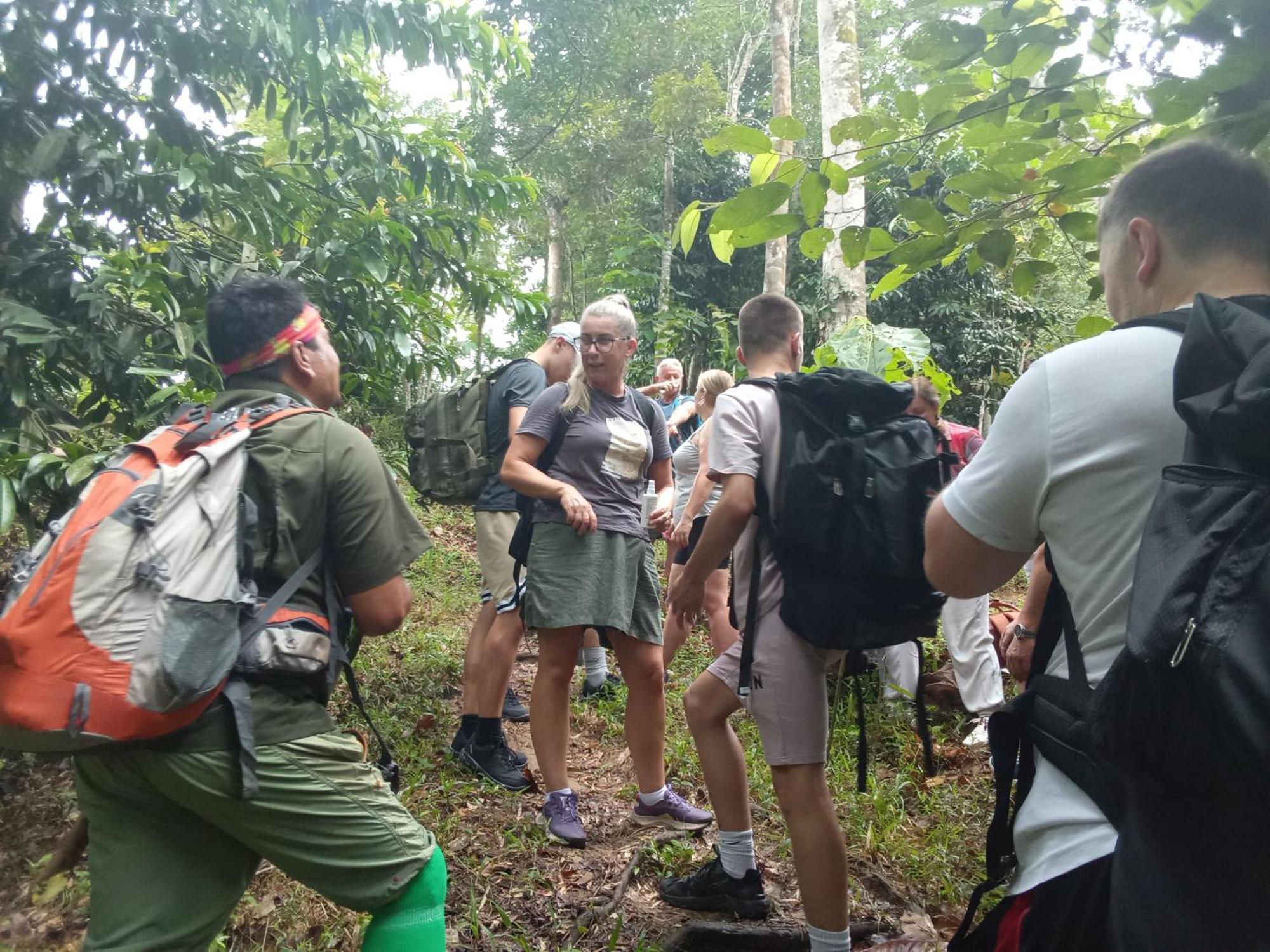 Jungle Treking & Jungle Tour If You Want To Stay Here,You Must Book Treking Only With Us بوكيت لاوانج المظهر الخارجي الصورة