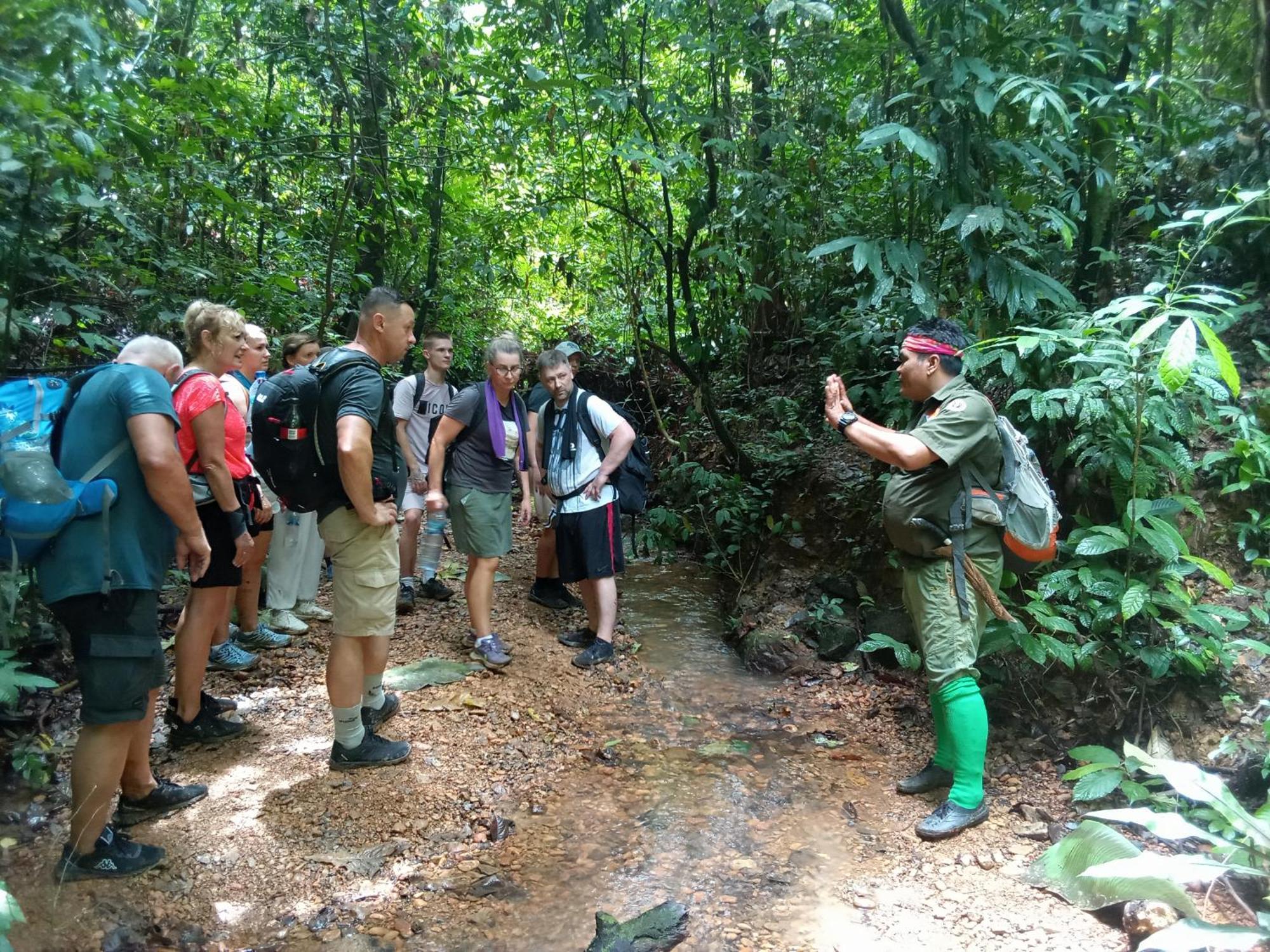 Jungle Treking & Jungle Tour If You Want To Stay Here,You Must Book Treking Only With Us بوكيت لاوانج المظهر الخارجي الصورة