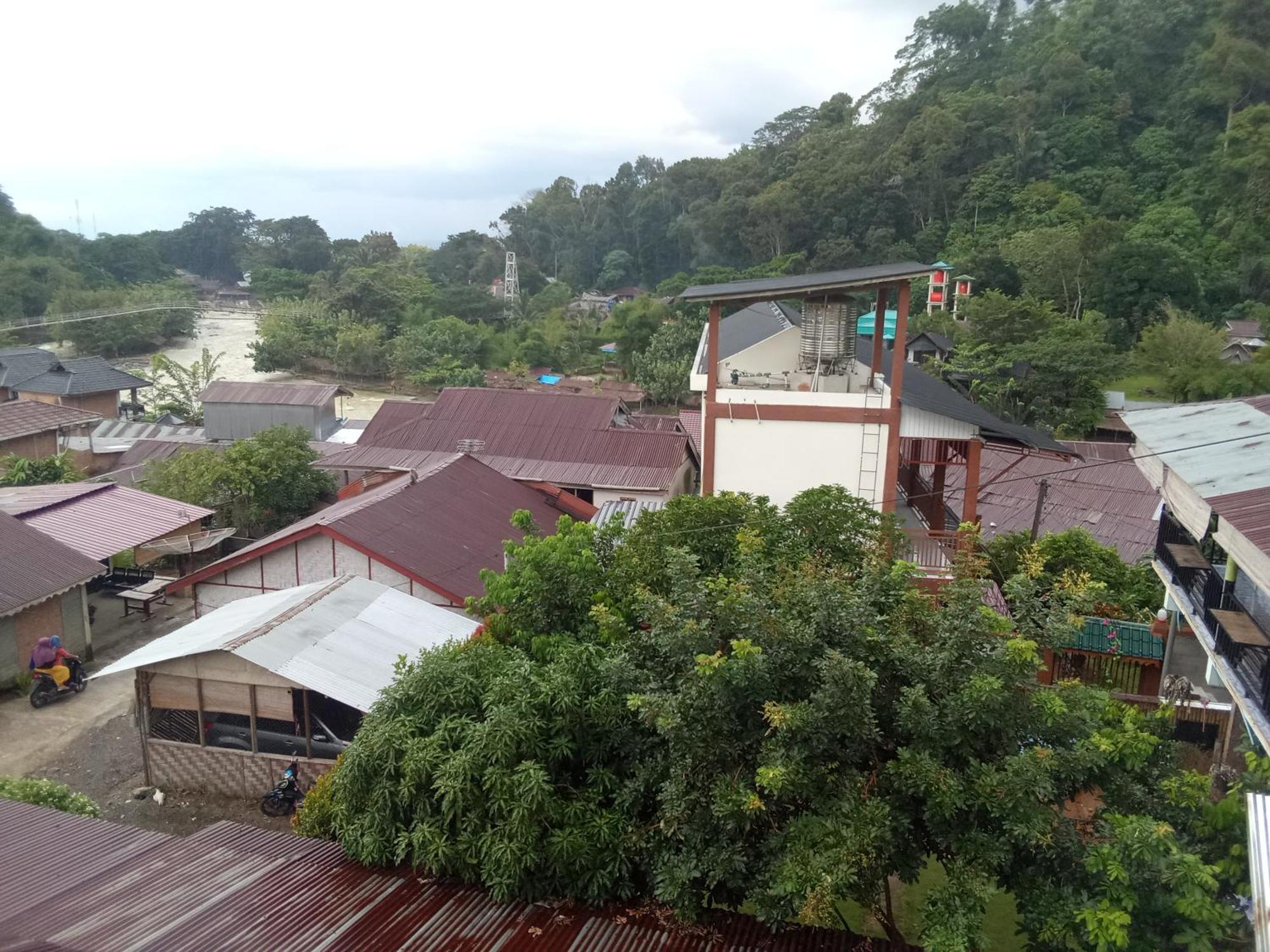 Jungle Treking & Jungle Tour If You Want To Stay Here,You Must Book Treking Only With Us بوكيت لاوانج المظهر الخارجي الصورة