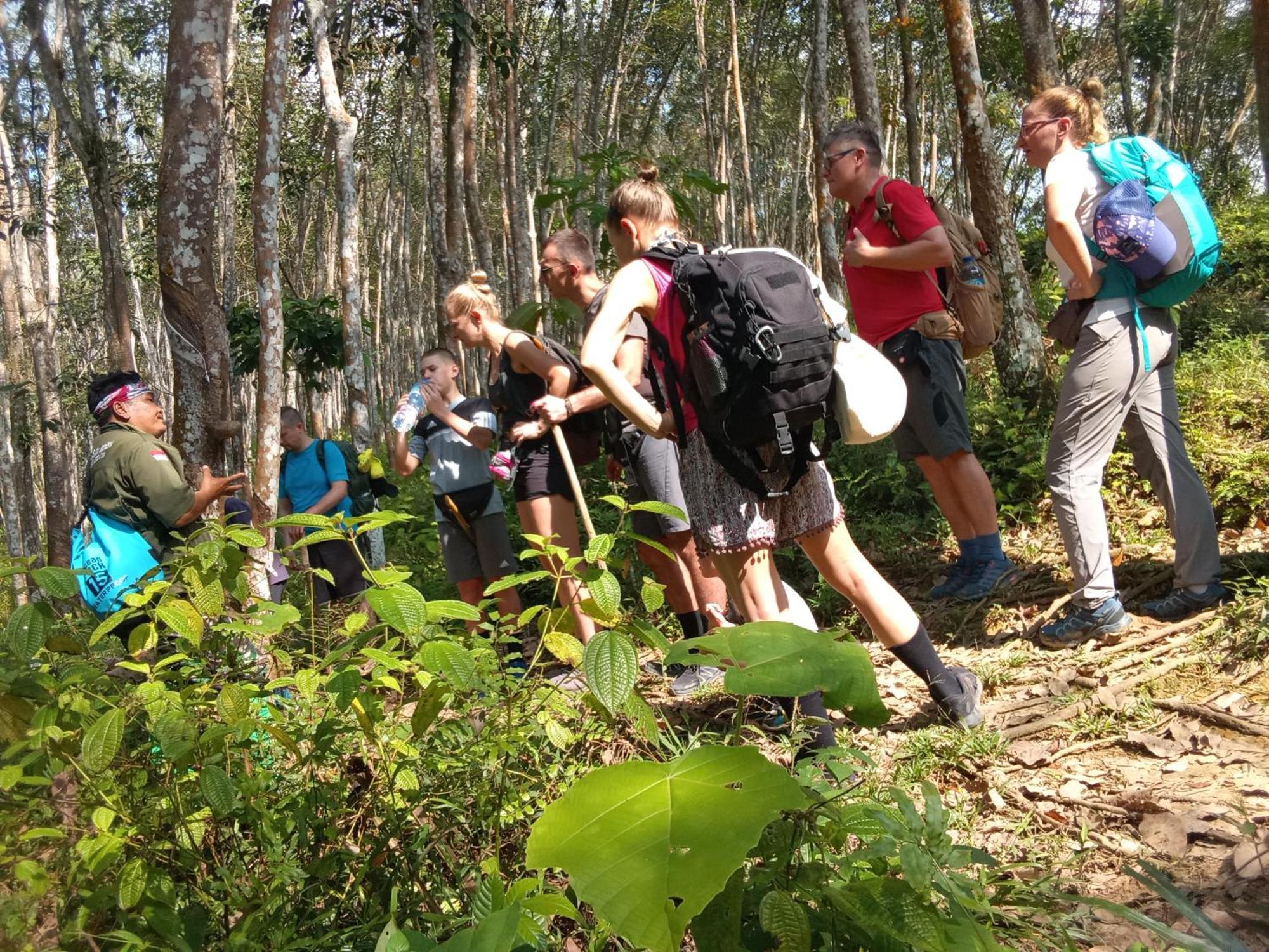 Jungle Treking & Jungle Tour If You Want To Stay Here,You Must Book Treking Only With Us بوكيت لاوانج المظهر الخارجي الصورة